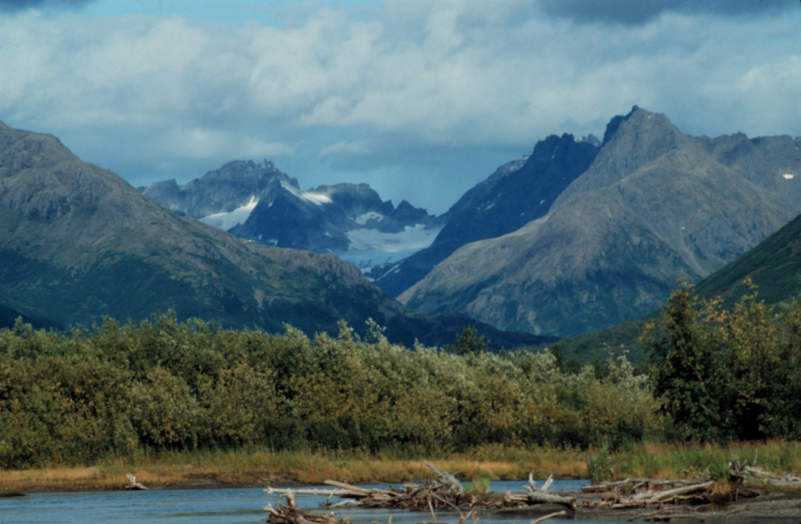 Beringia Upland Tundra | One Earth